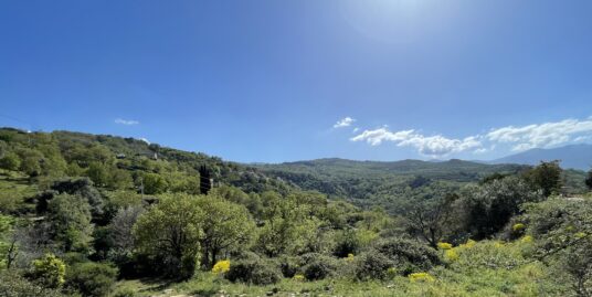 Vallecale : beau terrain constructible de 6 203 m² très ensoleillé