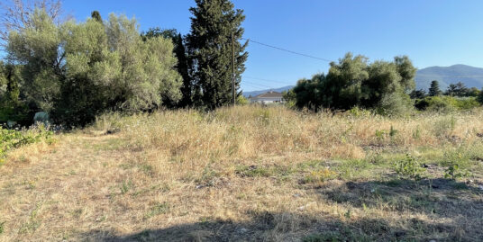 Lucciana : beau terrain constructible de 2 173 m² plat et ensoleillé